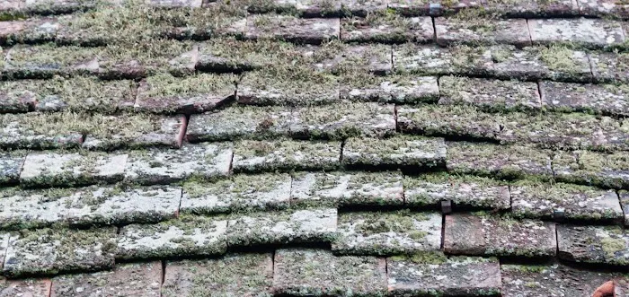 Urban Peak Roofing Solutions Co. Picture 6