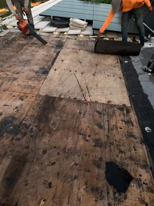 Den Roofers Picture 6