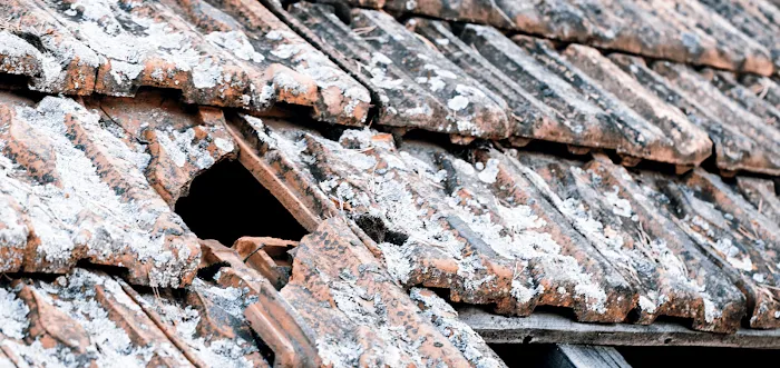 Soffit Shelter Roofing Contractor Picture 10