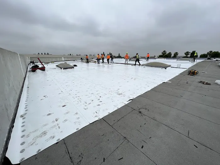 Saddleback Roofing Picture 2