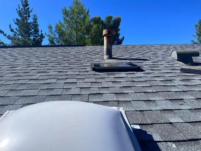 Woody's Roofing Picture 8