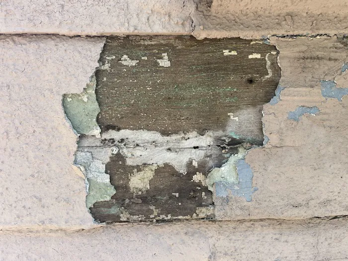 Exterior Specialists Picture 8