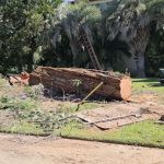 Miguel Multiservices