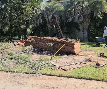 Miguel Multiservices