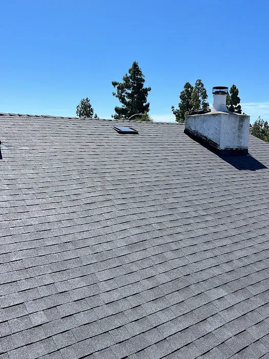 Specialist Roofing & Repair Picture 2