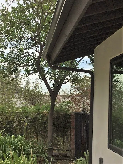 Specialist Roofing & Repair Picture 5