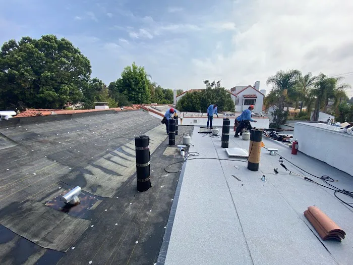 Specialist Roofing & Repair Picture 8