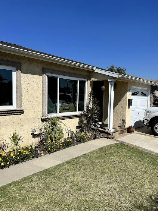 Flores Windows Picture 6