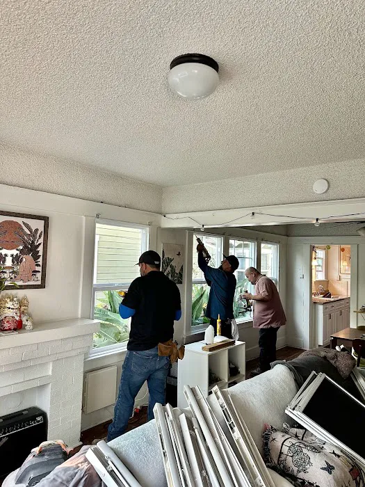 Flores Windows Picture 8