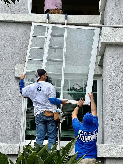 Flores Windows Picture 10