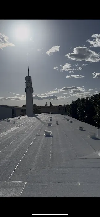 LX Roofing Picture 1
