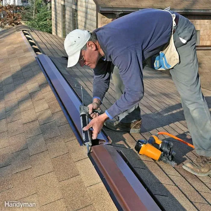 Ray & Sons Roof Repair Picture 4