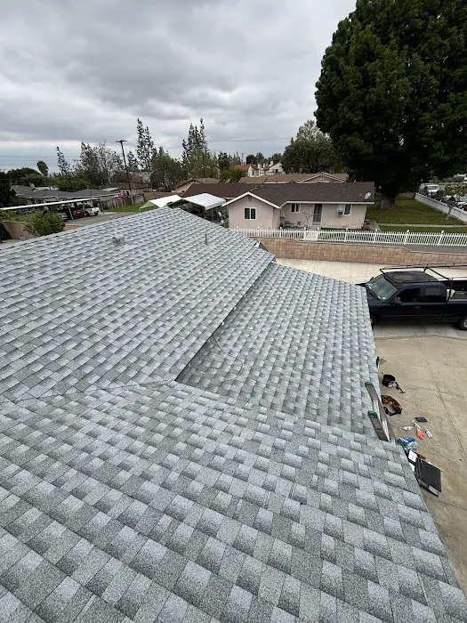 AMC Lions Roofing Picture 3