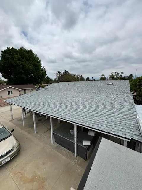 AMC Lions Roofing Picture 4