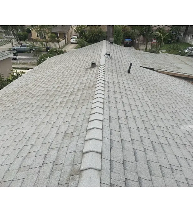 AMC Lions Roofing Picture 7