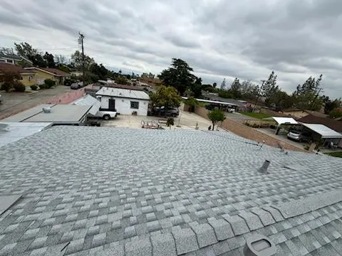 AMC Lions Roofing Picture 8