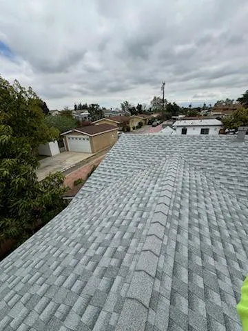 AMC Lions Roofing Picture 10