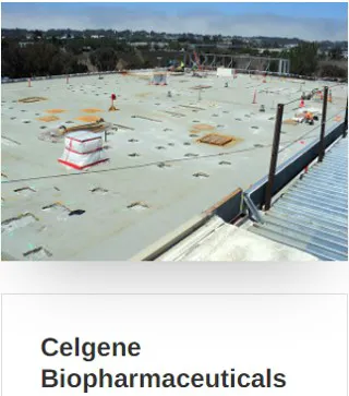 Arithane Foam Roofing Picture 3