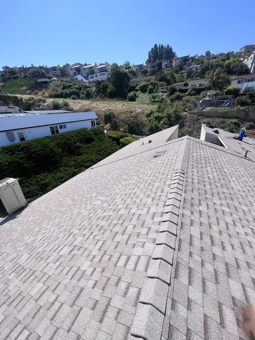 Shingle Guard Roofs Picture 2