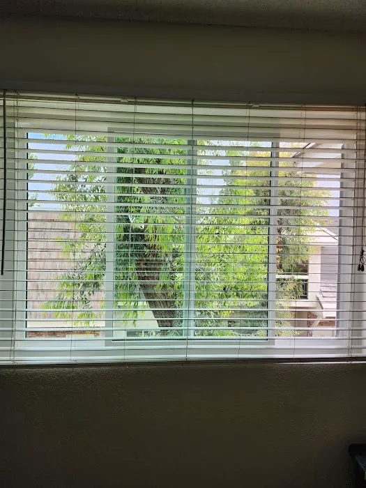 Sears Window Replacement Picture 6