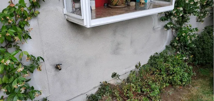 Stucco Repair Los Angeles Picture 2
