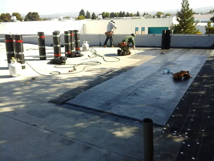 Easy Roofing Solutions Picture 6