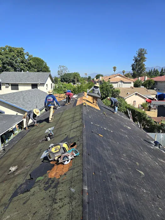Silver Vera Roofing Picture 7