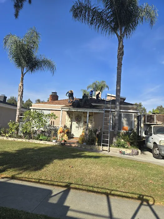 Silver Vera Roofing Picture 4