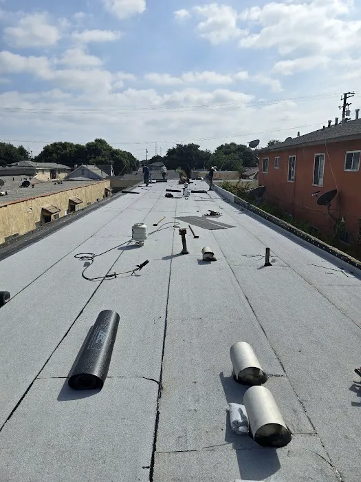 Silver Vera Roofing Picture 6