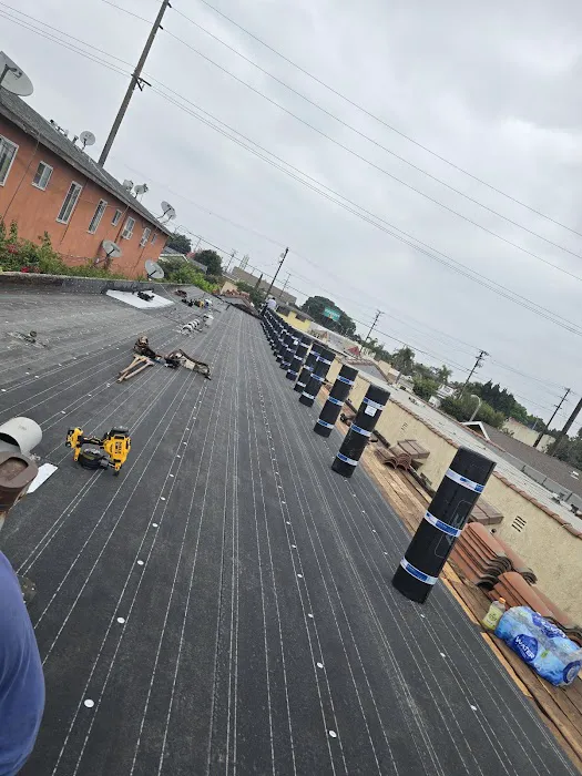 Silver Vera Roofing Picture 10