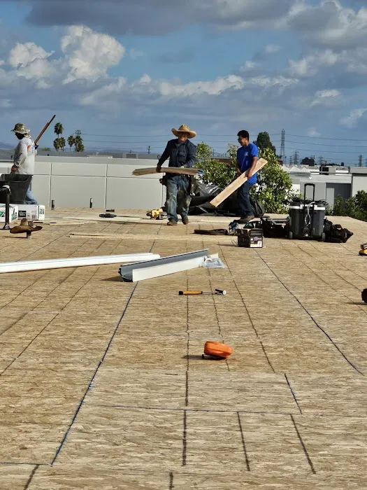 Silver Vera Roofing Picture 9