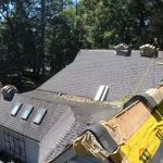 Shingle Guard Roofs