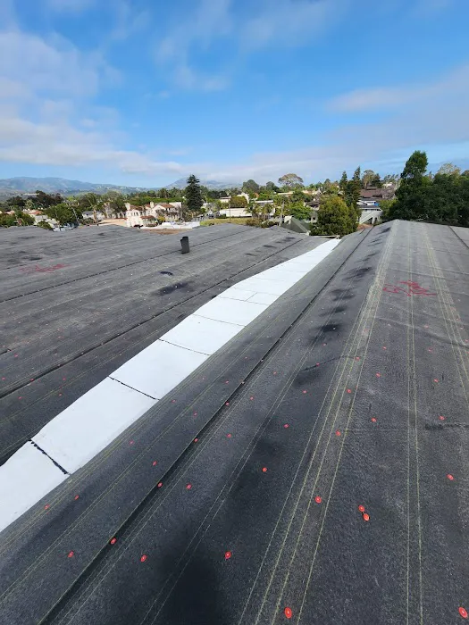 Golden Winter Roofing Picture 2