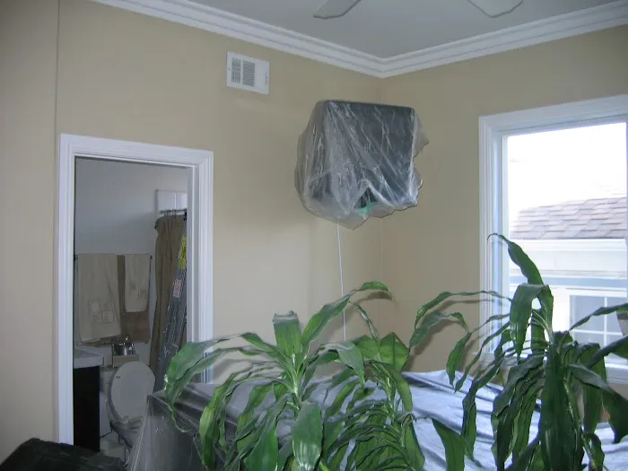 Super Painting Co. Picture 4