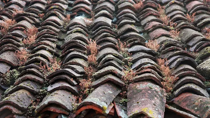 Coastal Crest Roof Masters Picture 4