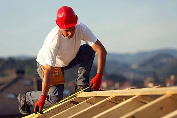 Roof Pros Picture 1