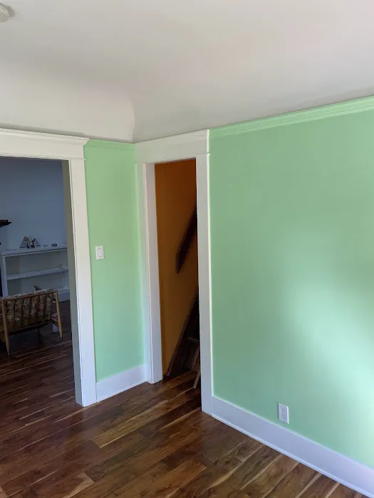 Island Pro Painting Picture 2