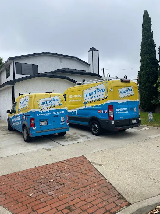 Island Pro Painting Picture 1