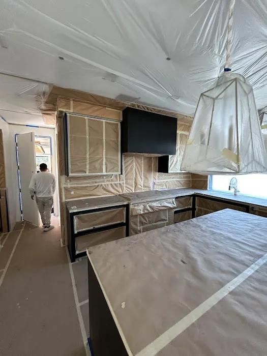 Island Pro Painting Picture 6