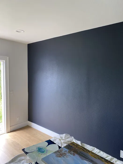 Island Pro Painting Picture 5