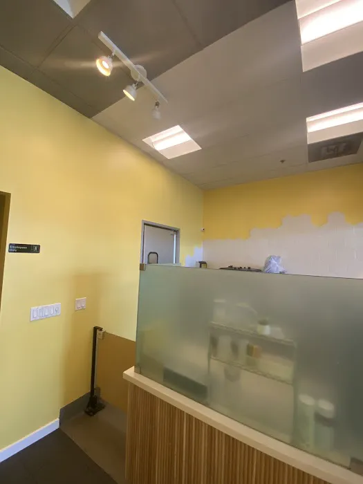 Island Pro Painting Picture 7