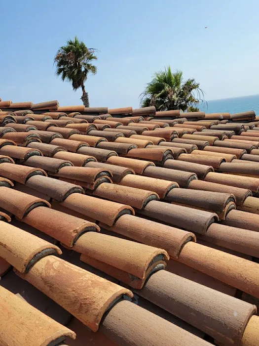 The Roof Doctor Picture 1