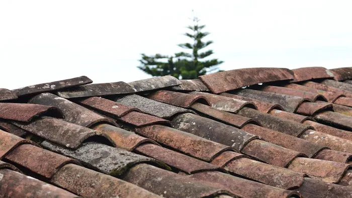 Team Zee System Ridge Roofing Picture 4