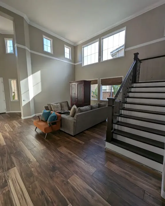 VK's Painting Picture 3