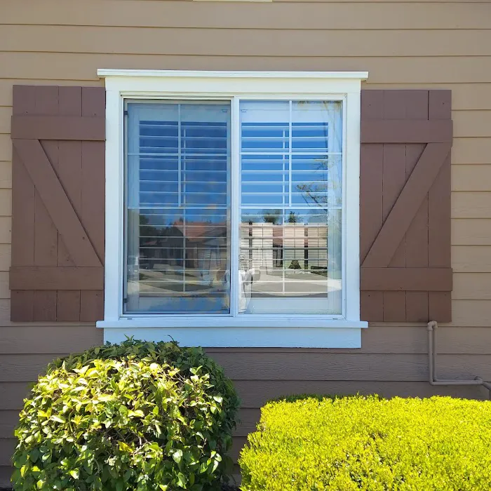 VK's Painting Picture 10