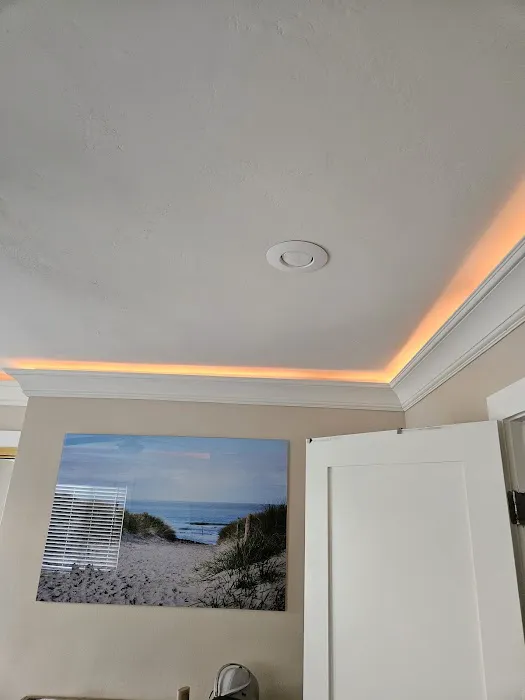 Fix-it Bear Construction Picture 1