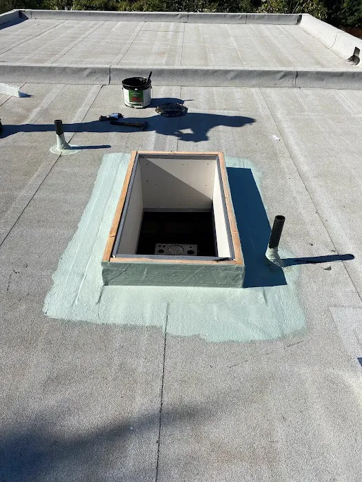 Francisco's Roofing Inc. Picture 3