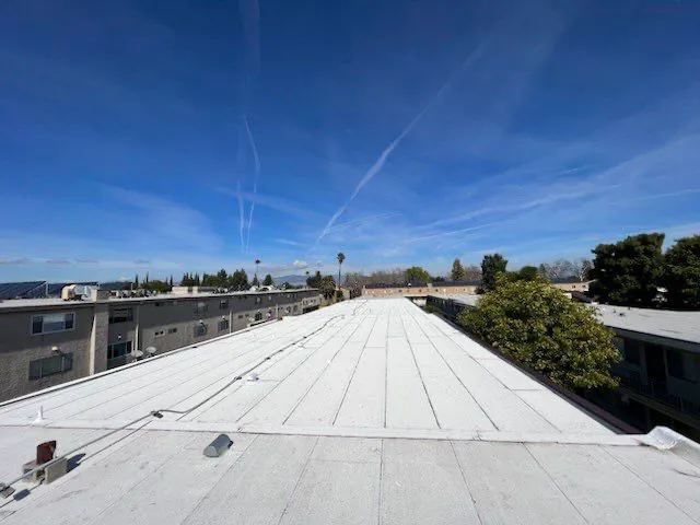 Reliance Roofing Inc. Picture 4