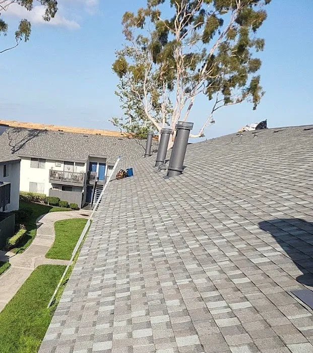 Reliance Roofing Inc. Picture 6