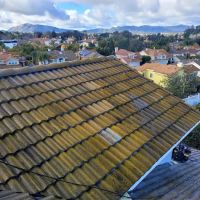 Hen's Dry Services ico